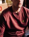 Sweatshirt "CSL" Maroon