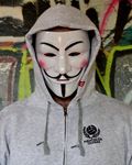 Mikina Mentalita Ultras zip (šedá)