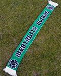 Šála Mentalita ultras (zelenobílá)